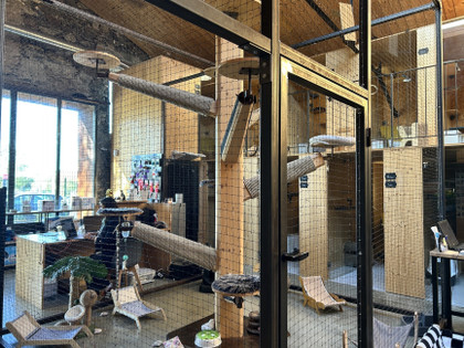 Un hôtel pour héberger son chat ?