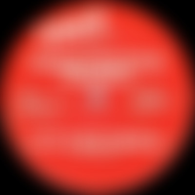 HISTOIRES DE : 1977, la House de Chicago