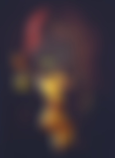 Au revoir Afrique, bonjour France / Juin 2015