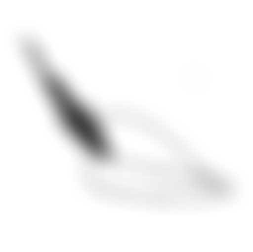 ORNC : Les aventures de Robin des Bois, 1938