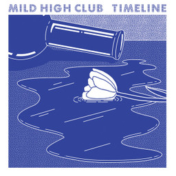 Mild High Club - Rollercoaster Baby