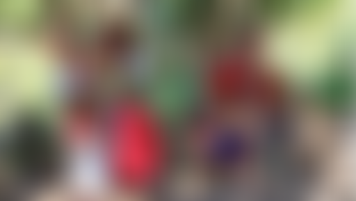 Ce que nous raconte la musique chez les Teko de Gu...