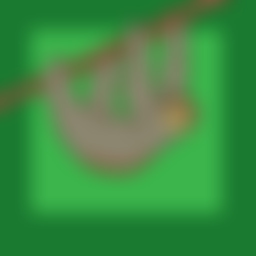 Le snob d'un autre : snobisme dans le sport