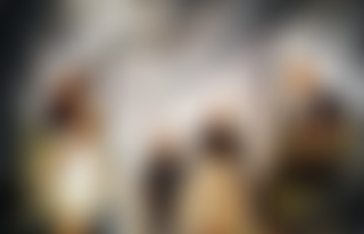 Théâtre-Festival Rideau Rouge: 14e édition le 5, 6...