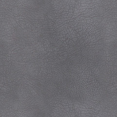 Hugo Gris
