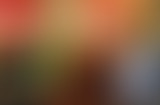Le Placard - Rencontre avec le youtuber Newtiteuf