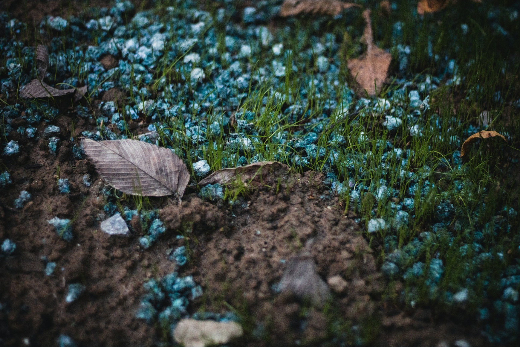© Sean Foster Le phosphrore dans les sols
