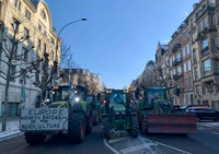 Crise agricole : les agriculteurs alsaciens face au Mercosur