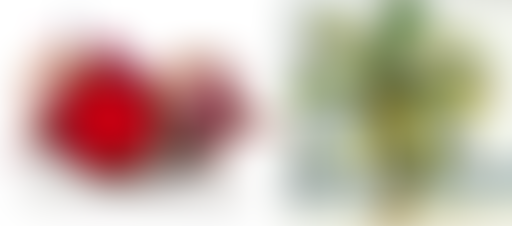 37°2 / Nathalie, le "Talysman", le gnome et la vie