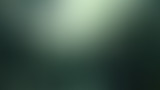 Extérieur Nuit : ANIMAUX SAUVAGES