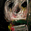 Gorgeous Bully • Paint