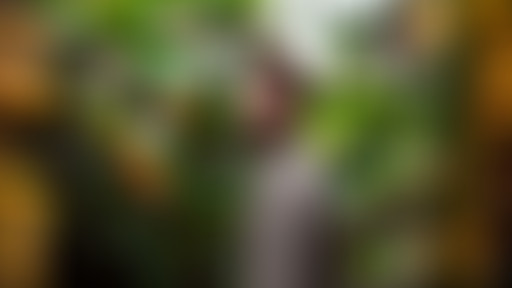 Novorama du 2 dec. avec l'itw d'Antoine Assayas