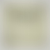 Chablis Hebdo // Au temps béni d'écologie