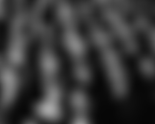 Radio Camping Paris reçoit Clap Magazine