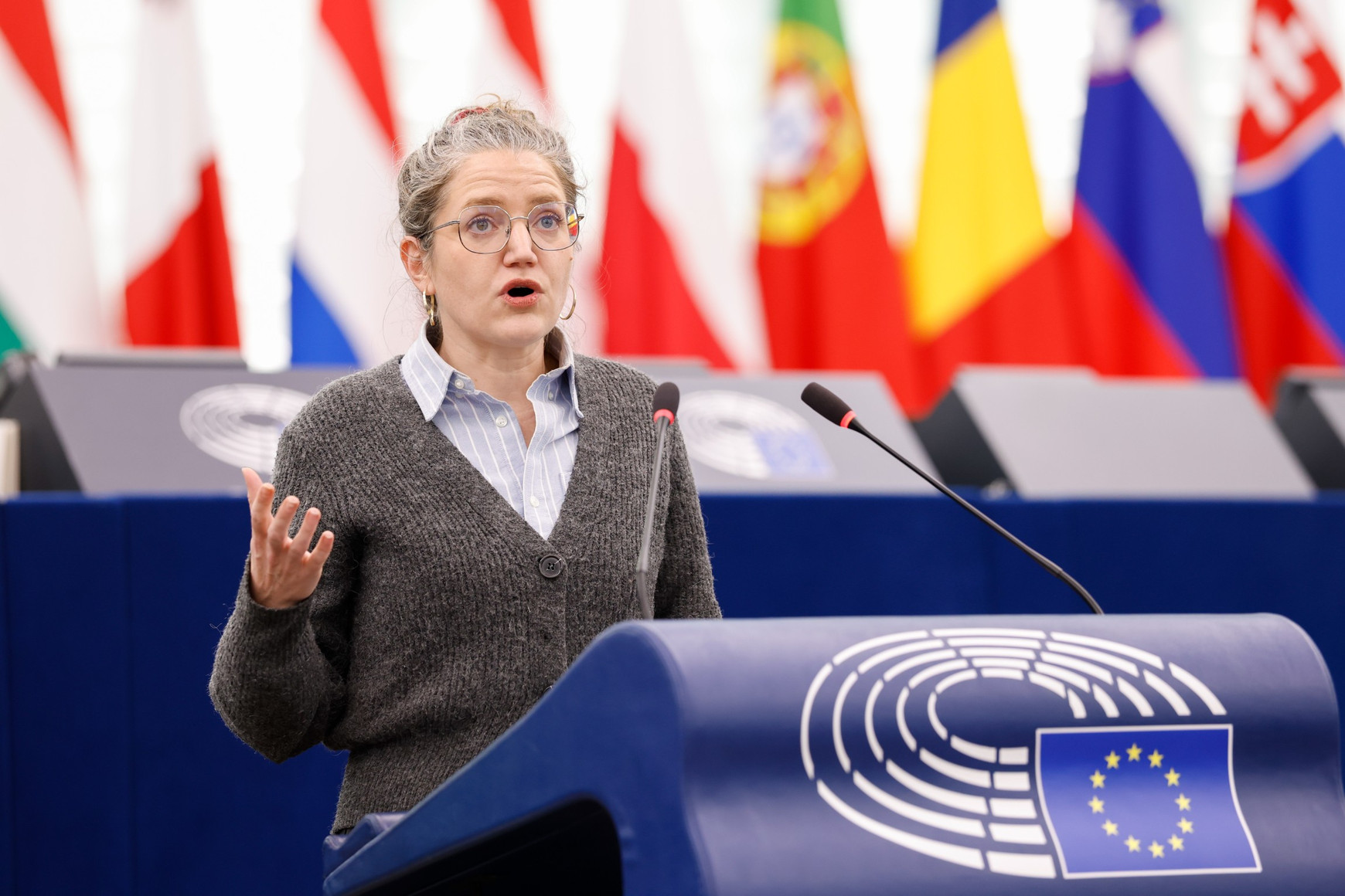 © Philippe BUISSIN - European Union 2025 Marie Toussaint défend une politique de logements abordables