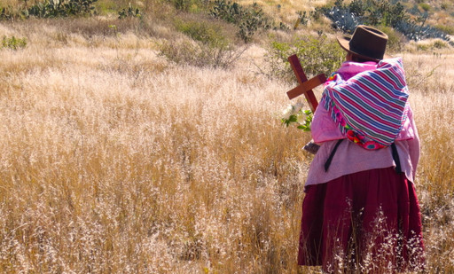 Warmikuna : mémoires de femmes péruviennes autocht...