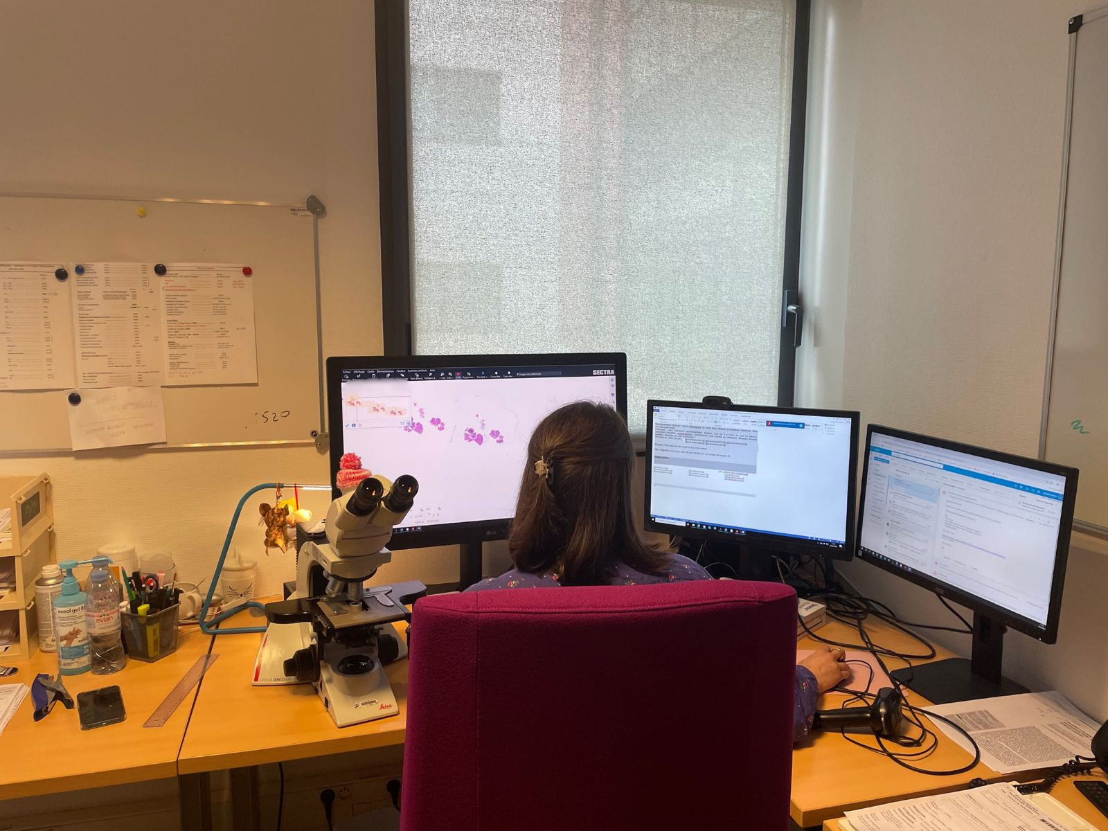 euradio - Lolla Sauty-Hoyer Pathologie numérique : le CHU de Lille amorce une révolution diagnostique