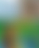 Bam Salute special Lt Stitchie & Josey Wales