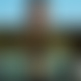 La Séance du dimanche #16 : Matrix, Bebel et les W...