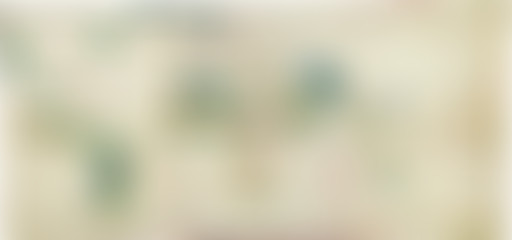 Amérique et Afrique :  colonisation comparée