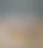 OVVCDN #24 : Clément crie "Patchwork" sur France M...