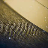 Amplitudes : Morceaux vinyl only