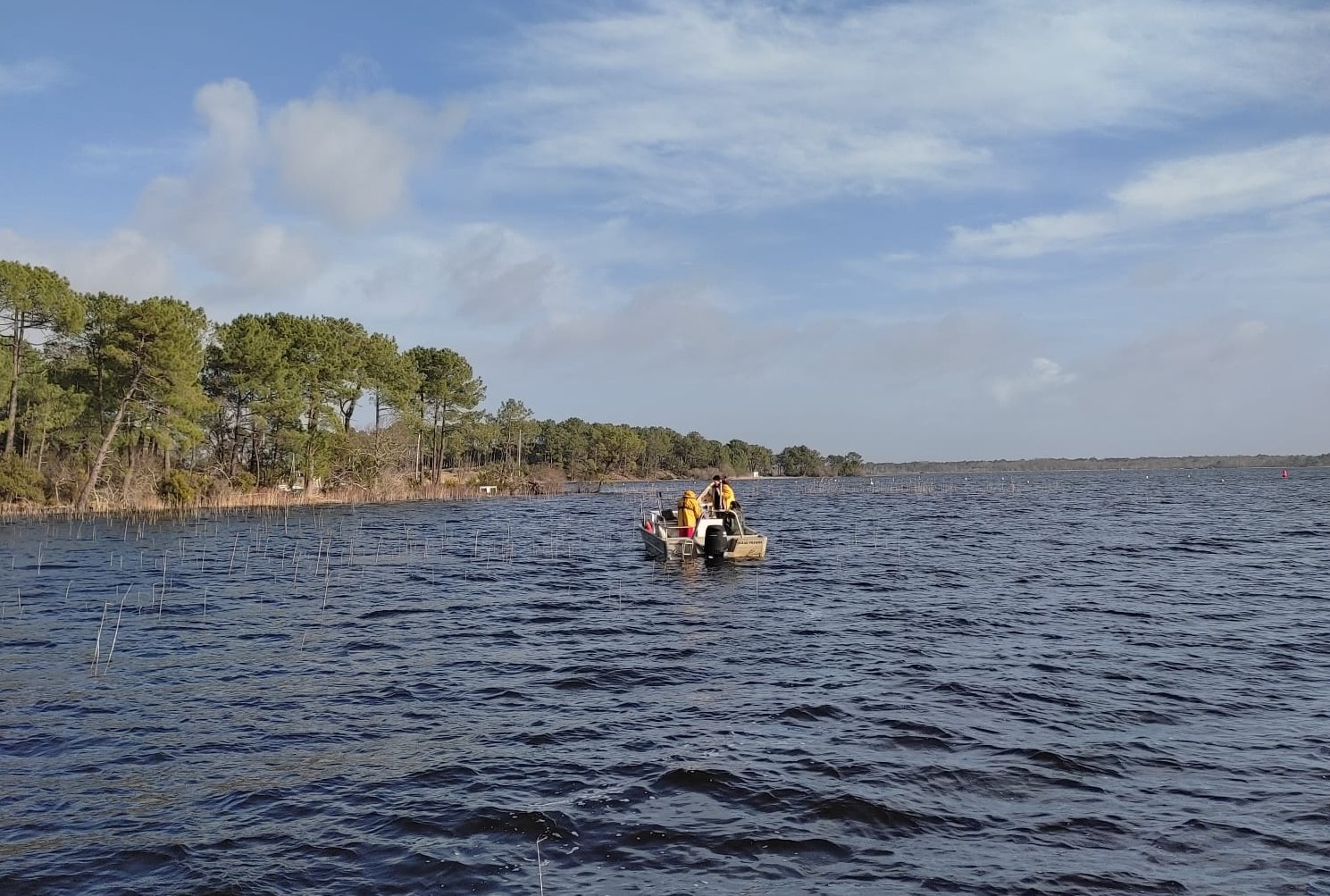 © Brice Andlauer Comment protéger efficacement l’anguille européenne ? 2/2 - L'Europe vue d'ici #156