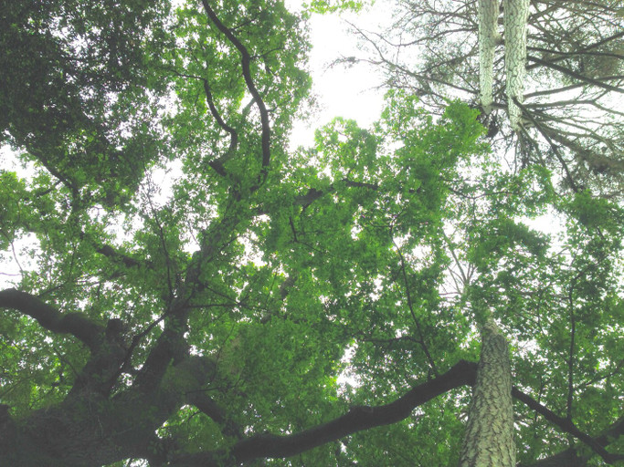 Épisode 37°2 / Béatrice, la hauteur de vue de l'émission L'Apéro