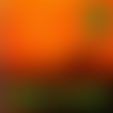 PRESSION EIGHTIES (Ep. 20)