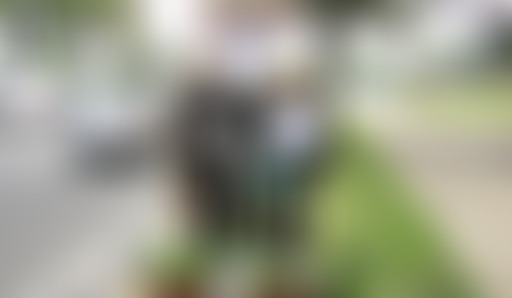 La Matinale du 24/02/15 - Agriculture urbaine et A...