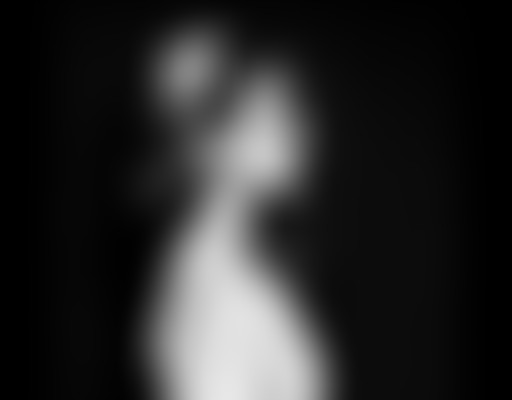 Lives Factory : The Rodeo