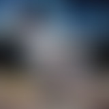 La Séance du dimanche #25 : Ghost in the shell et...