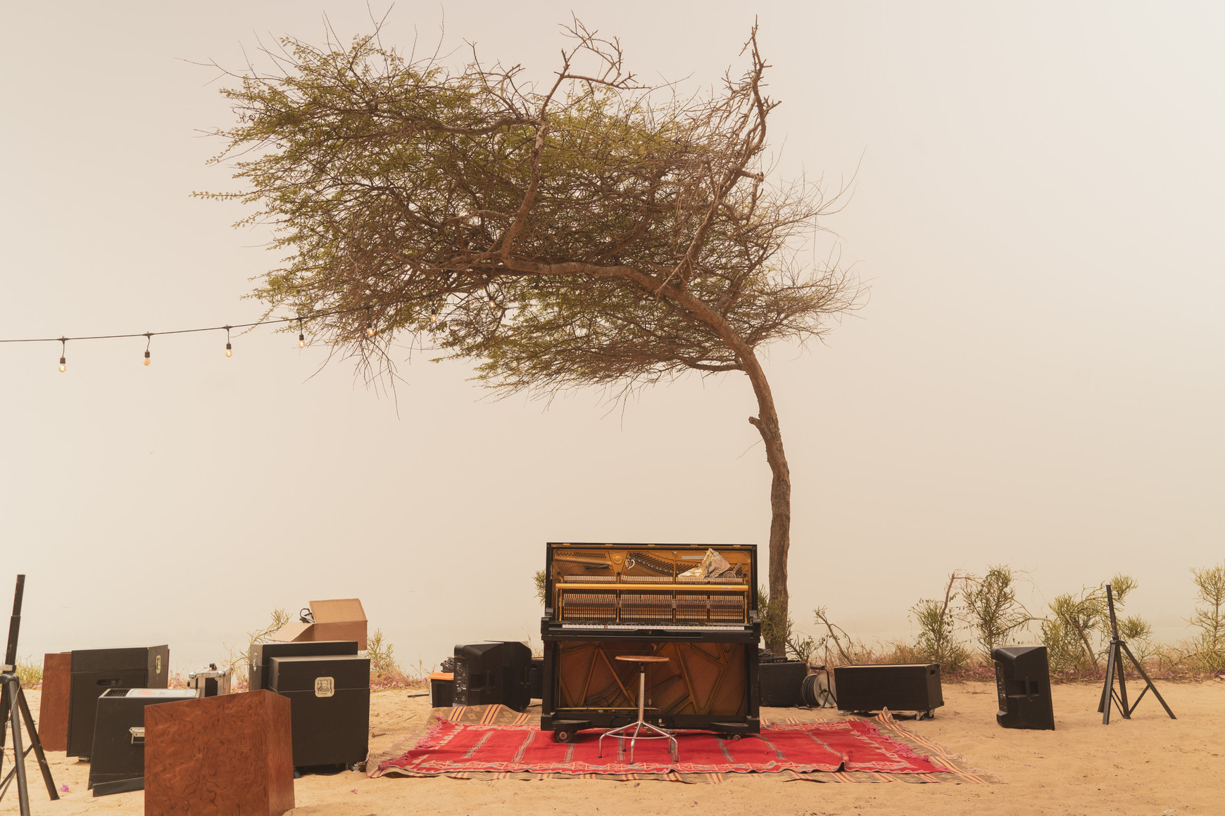 © Elisabeth Courbion La tournée des oiseaux avec Lorenzo Naccarato