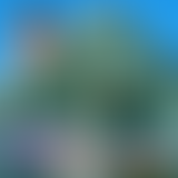 Sandwich Triangle / Paul Tournante