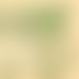 Rien A Voir Avec Du Jazz