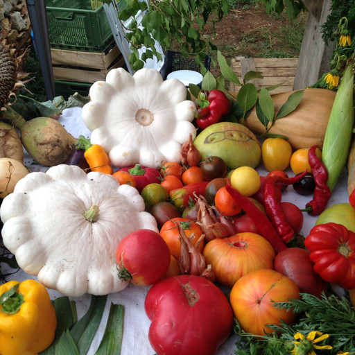 Épisode Prenez-en de la graine – Faire ses propres graines de l'émission Prenez-en de la graine