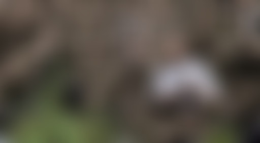 Extérieur Nuit : NANANA ANNA NA, NA NA NA !