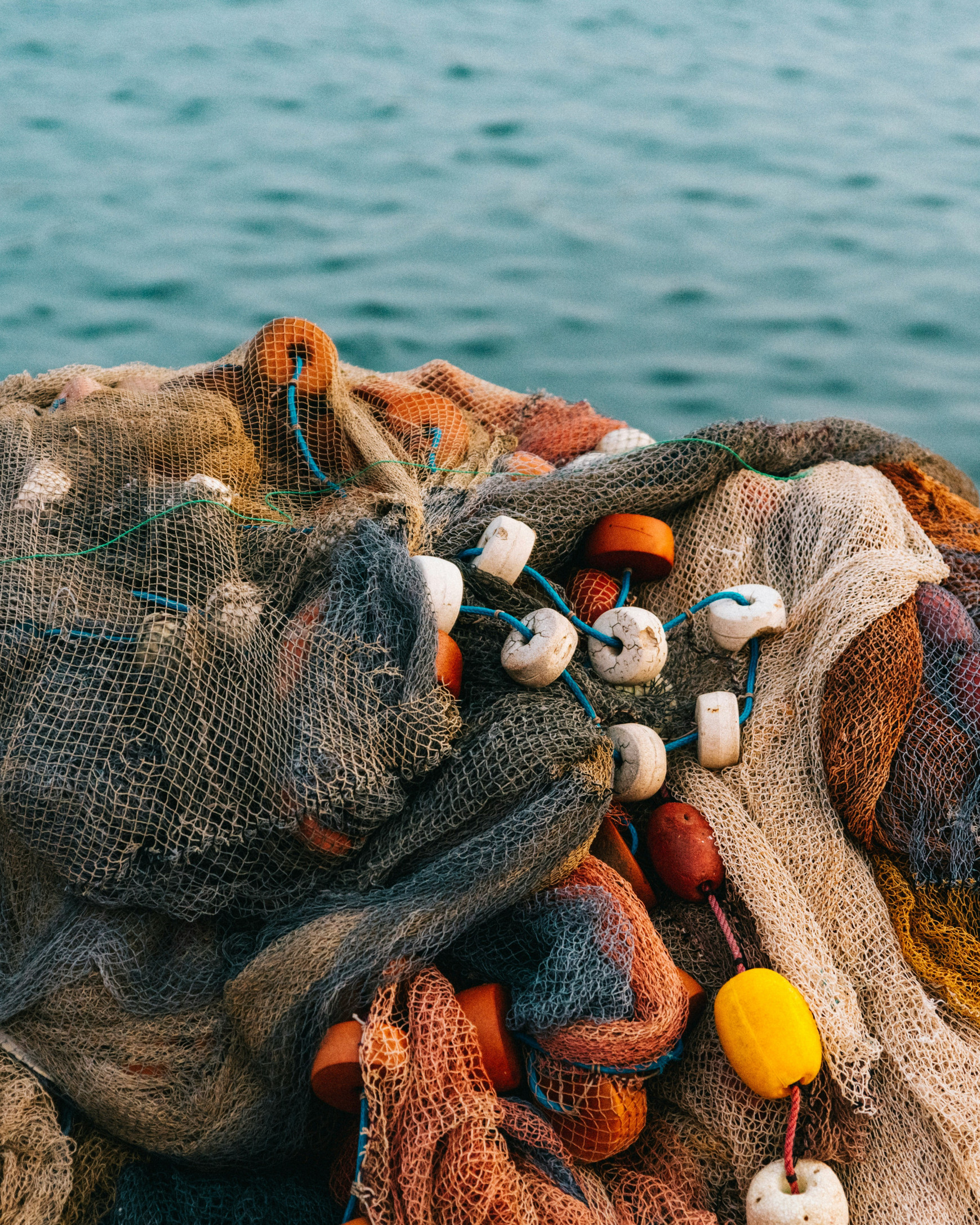 ©  Krisztian Tabori sur Unsplash Le fonds pour le soutien de la pêche - Chaima Kharroubi