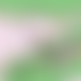 Le snob d'un autre : le snobisme musical