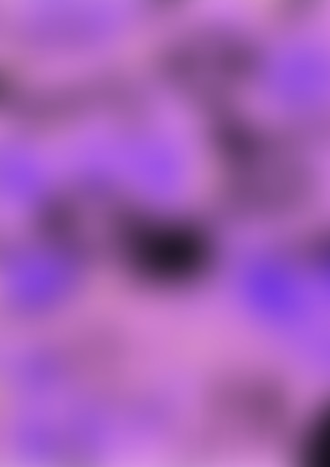 Histoires De X Les Fonds de Tiroir : 1967, et la M...