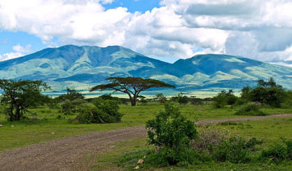 Rendez-vous au Musée d'Olduvai en Tanzanie