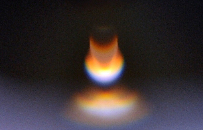 Épisode Novorama / spéciale festivals de rentrée de l'émission Novorama