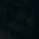 Nigra