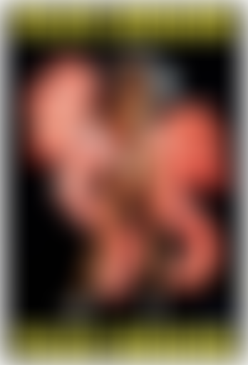 Érotisme et sexualité dans les arts du spectacle