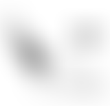 ORNC : Robin des bois, Prince des voleurs, 1991