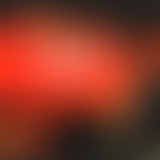 Lions Milk #120- Laurent