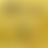 Guive @ Bam Salute Show