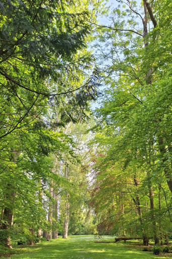 Voix enchantées épisode 31 - Antoine