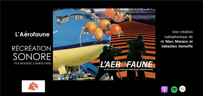 Épisode Récréation Sonore - L'Aerofaune de l'émission Récréation sonore