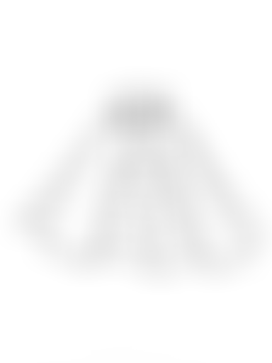 ORNC : Apocalypto (2007)